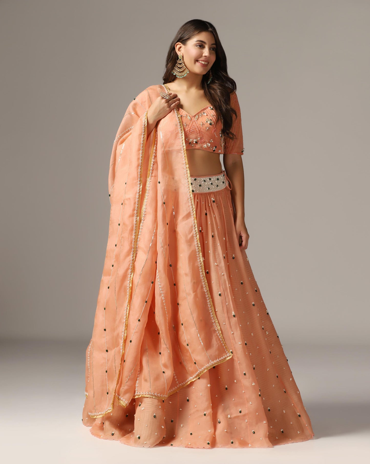 Brick Organza Stone Embroidered Lehenga Set