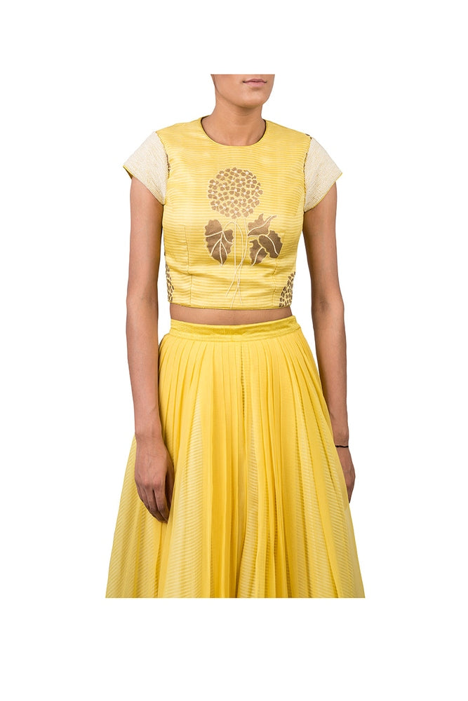 BLOCK PRINTED FOOTBALL LILLY HIGHLIGHTED CROPTOP WITH CHIFFON PLEATED PALAZZO Yashodhara
