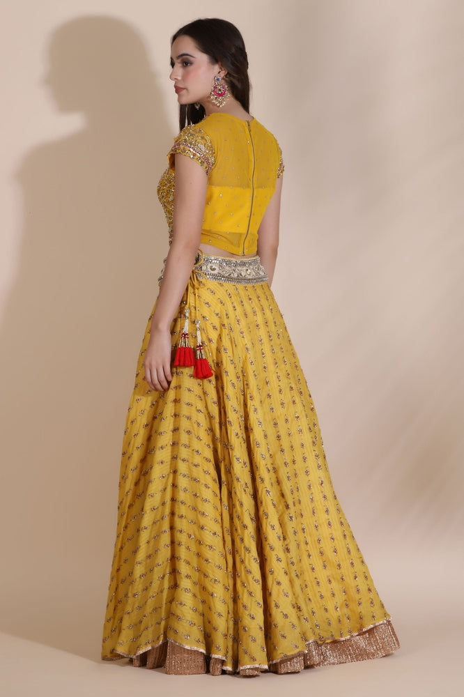 Yellow Embroidered Lehenga Yashodhara