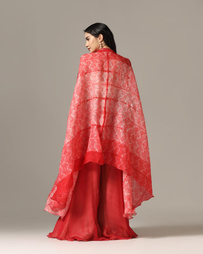Red Organza Embroidered Cape Set