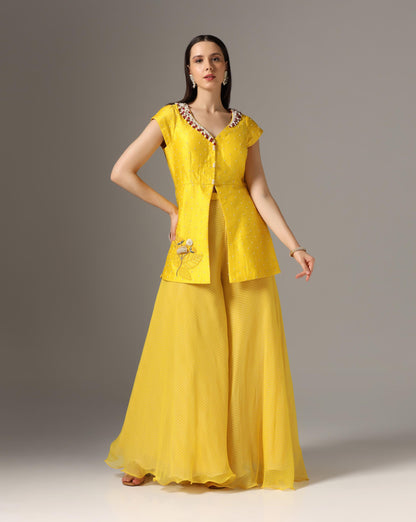 Yellow Raw Silk & Chiffon Stone Embroidered Jacket Set