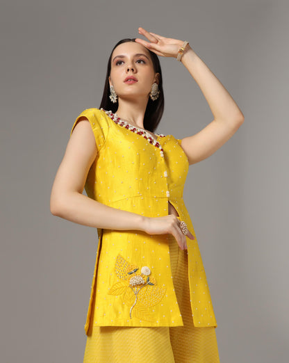 Yellow Raw Silk & Chiffon Stone Embroidered Jacket Set