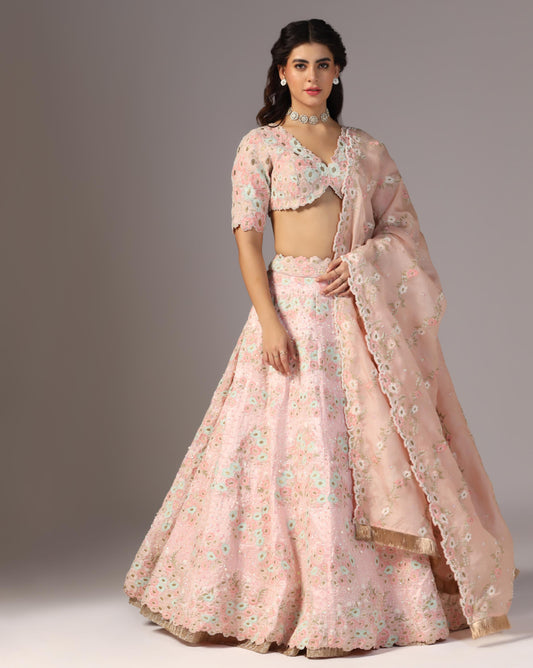 Light Pink Lehenga Yashodhara