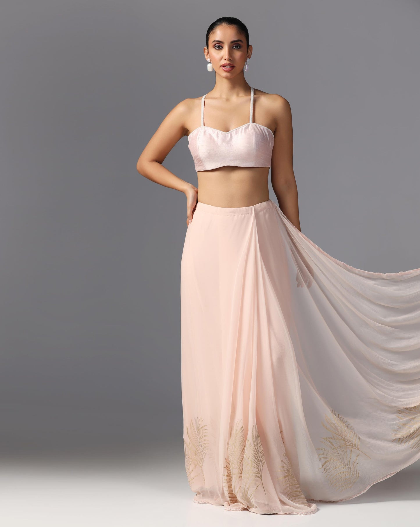 Blush Feather Embroidered Saree Set