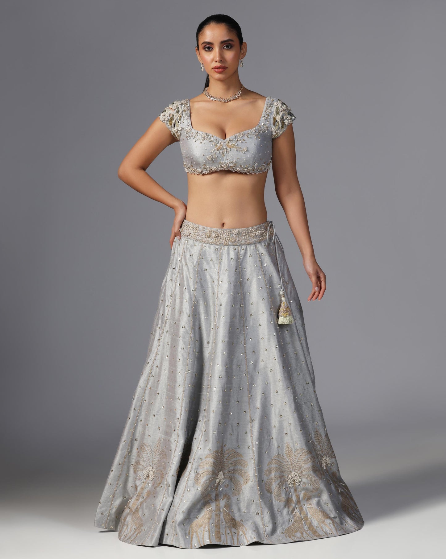 Moonlit Grace Embroidered Lehenga Set