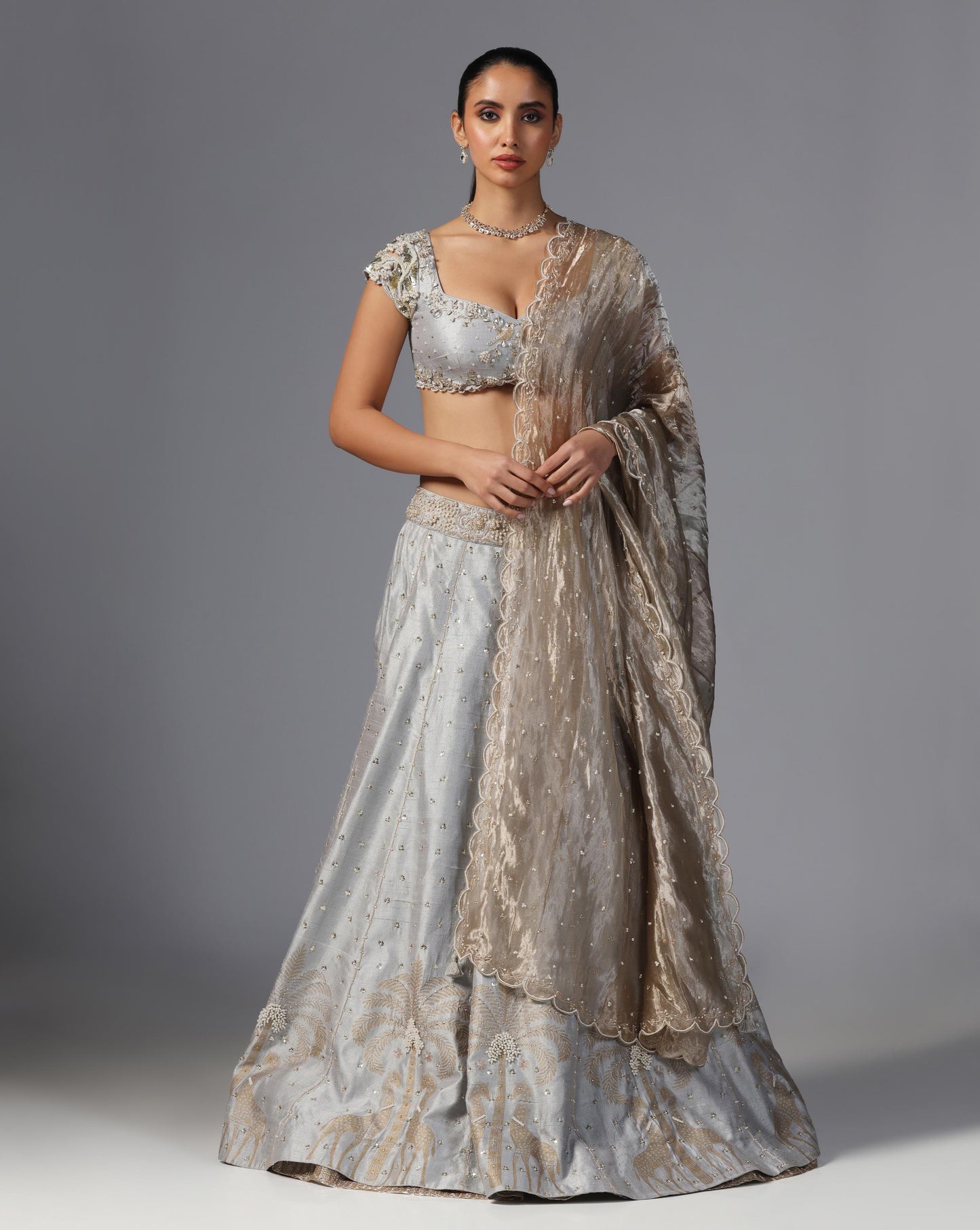 Moonlit Grace Embroidered Lehenga Set