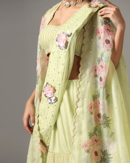 Dull Green Organza Printed Cape Set