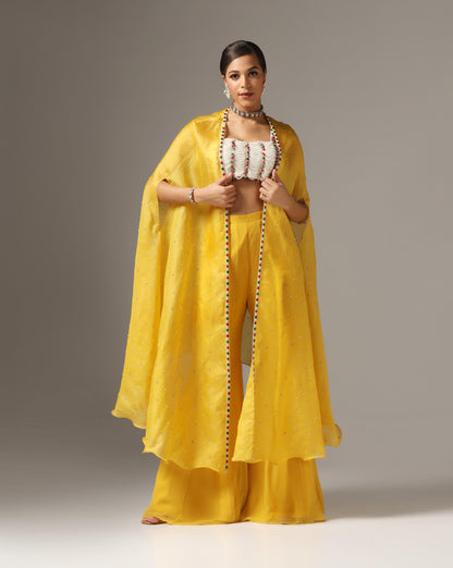 Mustard Organza Embroidered Cape Set