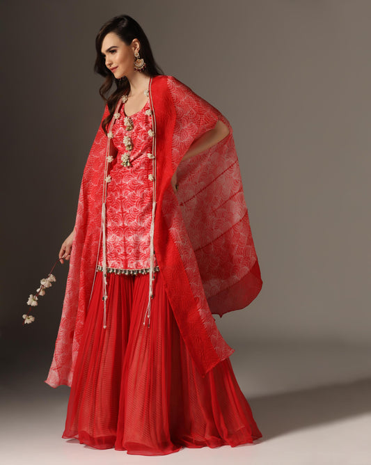 Red Organza & Chiffon Embroidered Kurta Set