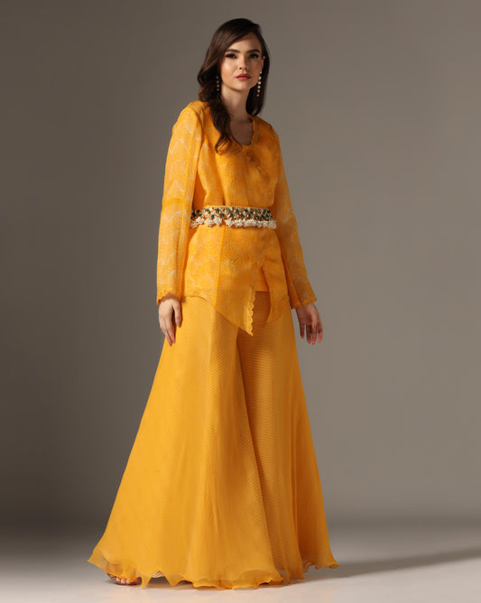 Yellow Organza & Raw Silk Embroidered Jacket Set