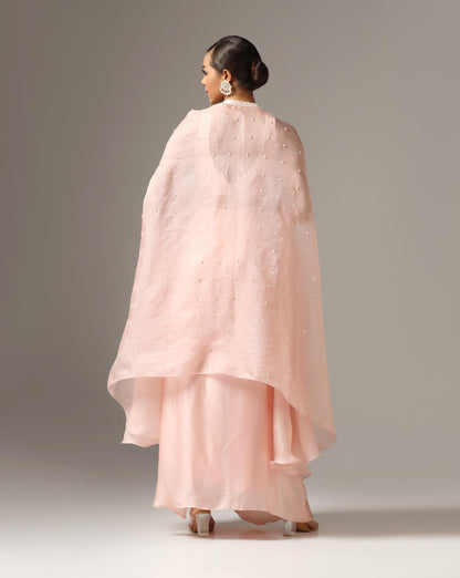 Pink Organza Embroidered Cape Set