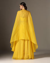 Load image into Gallery viewer, Mughal Jali Cape Set
