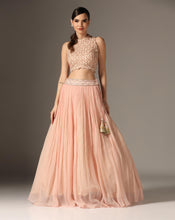 Load image into Gallery viewer, Mughal Jali Lehenga Set
