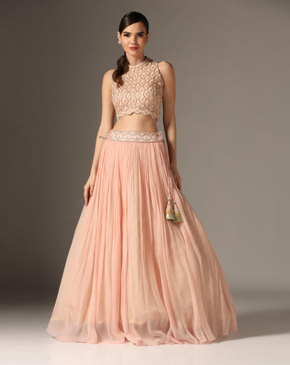 Pink Organza & Raw Silk Embroidered Lehenga Set