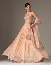 Load image into Gallery viewer, Mughal Jali Lehenga Set
