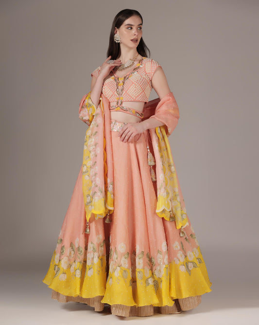 Brick Organza & Raw Silk Printed Lehenga Set