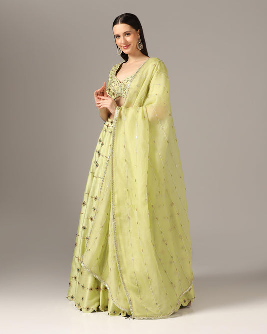 Jade Green & Golden Raw Silk Embroidered Lehenga Set