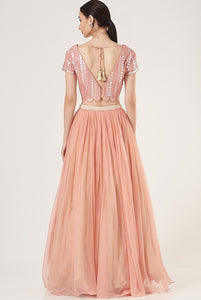 Brick Chiffon Skirt Set