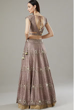 Load image into Gallery viewer, Gallnut Organza &amp; Raw Silk Lehenga Set
