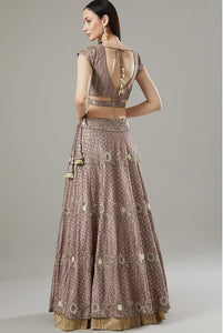 Gallnut Organza & Raw Silk Lehenga Set
