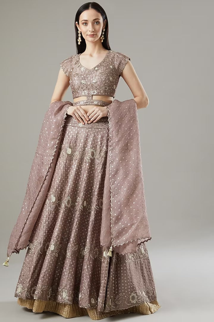Gallnut Organza & Raw Silk Lehenga Set
