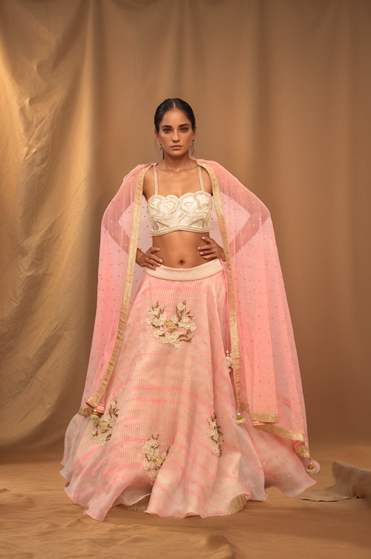 Pink Embroidered Lehenga (Sale Outfit - Size M)