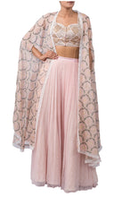 Load image into Gallery viewer, Pink Light Lehenga
