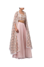 Load image into Gallery viewer, Pink Light Lehenga
