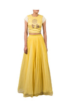 Load image into Gallery viewer, BLOCK PRINTED FOOTBALL LILLY HIGHLIGHTED CROPTOP WITH CHIFFON PLEATED PALAZZO
