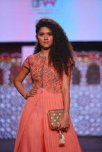 Load image into Gallery viewer, Brick Persian Anarkali
