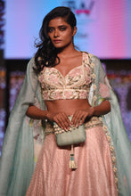 Load image into Gallery viewer, Blush Pink Lehenga with 3d Floral Blouse
