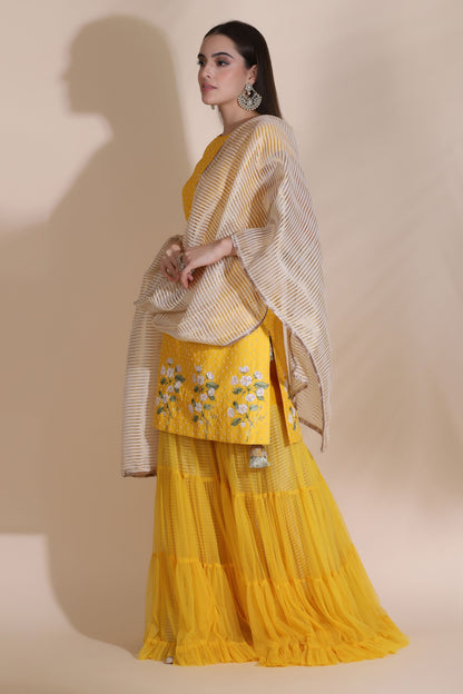 Pearl Work Kurti with Sharara and