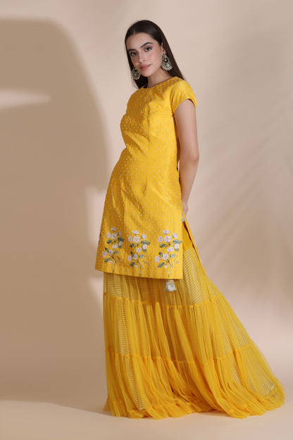 Pearl Work Kurti with Sharara and