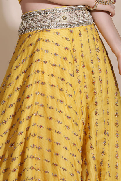 Yellow Embroidered Lehenga