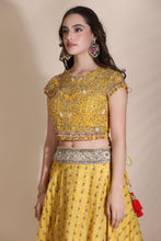 Load image into Gallery viewer, Yellow Embroidered Lehenga

