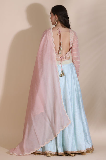 Pearl Work Floral Lehenga