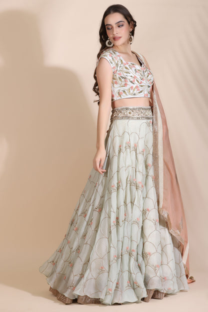 Embroidered Lehenga