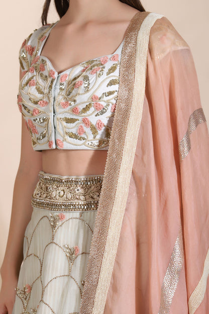 Embroidered Lehenga