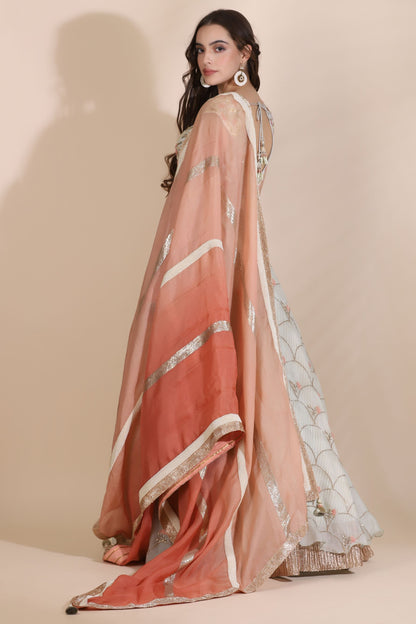 Embroidered Lehenga