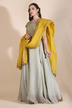 Load image into Gallery viewer, Embroidered Lehenga
