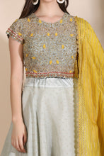 Load image into Gallery viewer, Embroidered Lehenga
