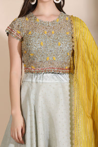Embroidered Lehenga