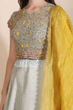 Load image into Gallery viewer, Embroidered Lehenga
