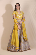 Load image into Gallery viewer, Embroidered Lehenga

