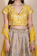 Load image into Gallery viewer, Embroidered Lehenga
