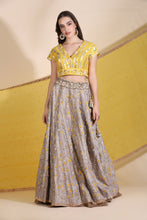 Load image into Gallery viewer, Embroidered Lehenga
