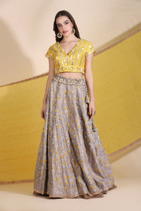 Embroidered Lehenga