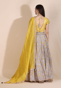 Embroidered Lehenga